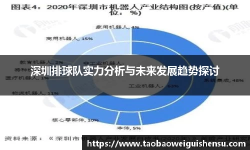 深圳排球队实力分析与未来发展趋势探讨