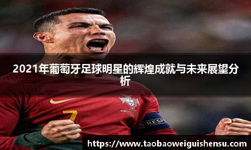 2021年葡萄牙足球明星的辉煌成就与未来展望分析