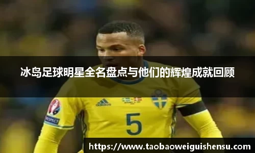 冰岛足球明星全名盘点与他们的辉煌成就回顾